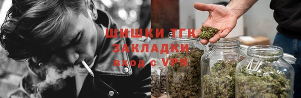 дживик Бронницы