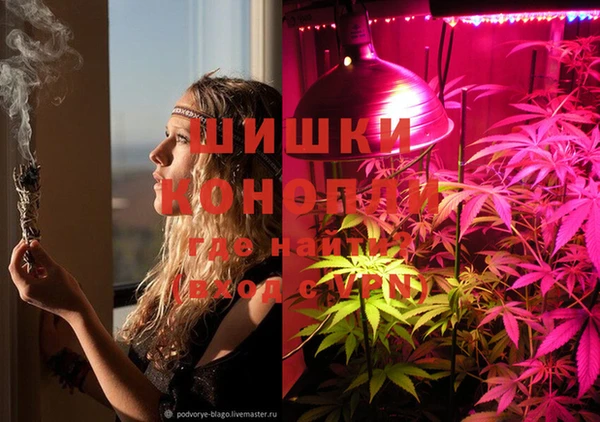 каннабис Бородино
