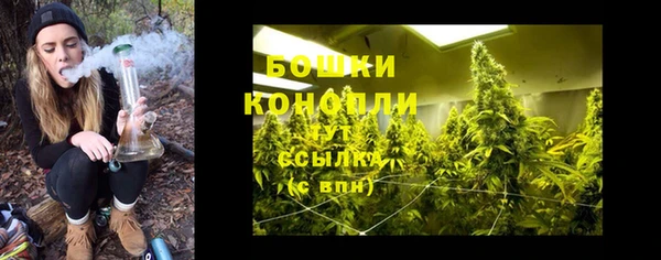 дживик Бронницы