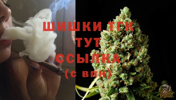 дживик Бронницы