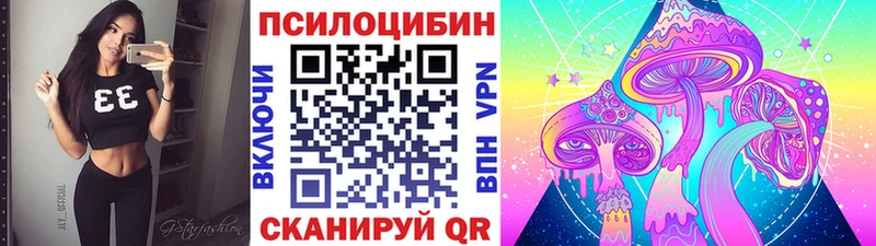 что такое   Кочубеевское  Галлюциногенные грибы Psilocybe 